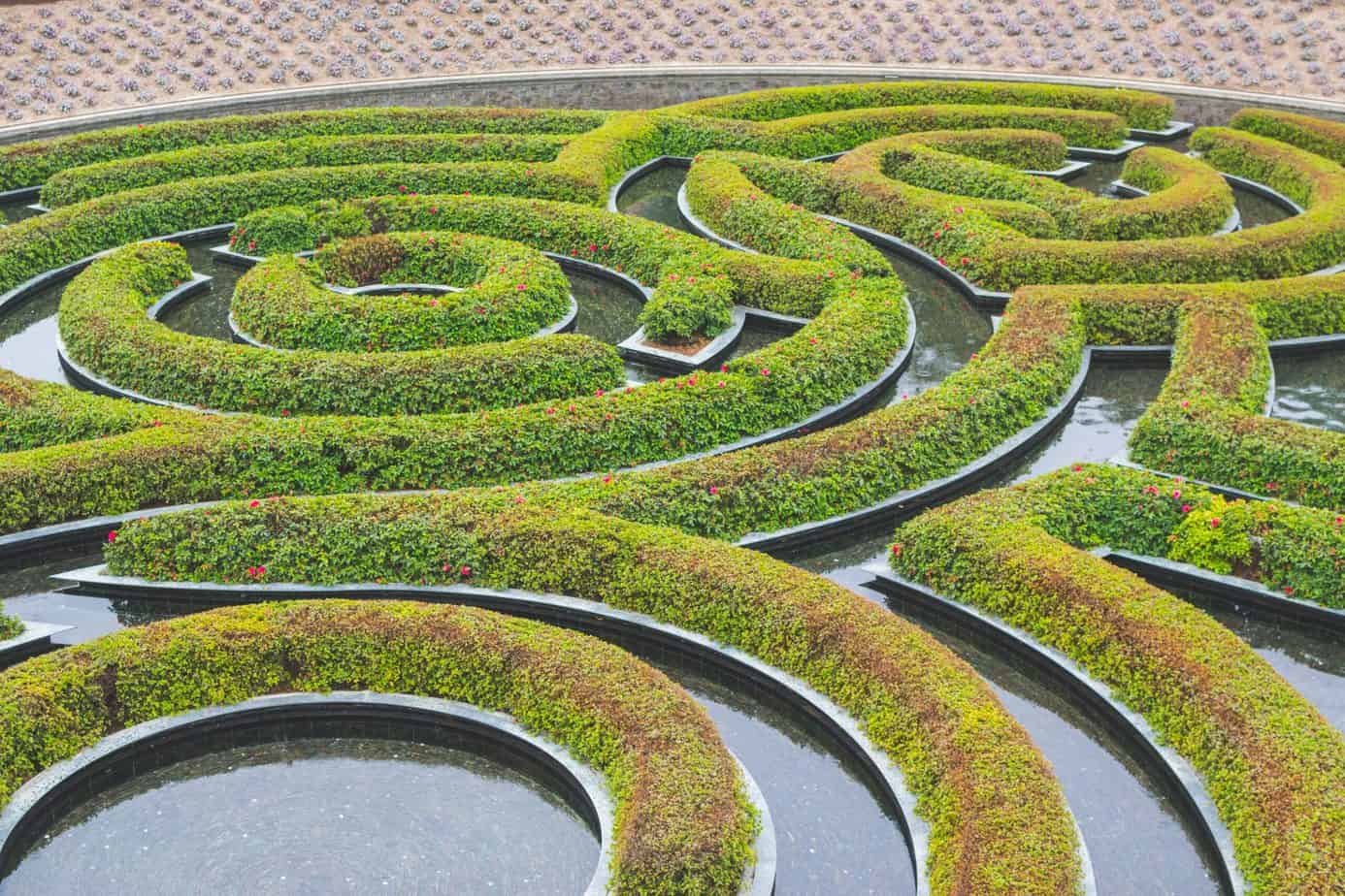 How To Maintain an Electric Hedge Trimmer Electric Gardening Tools